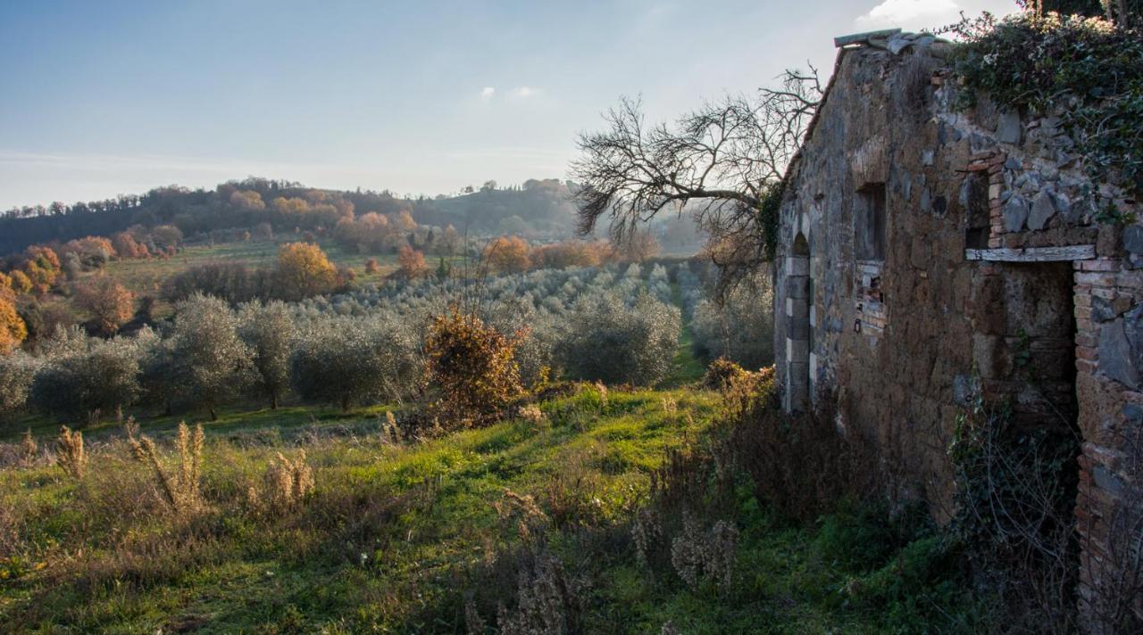 Villa Monteporzano Orvieto Cameră foto